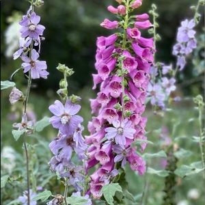 Meet your Posher, Robin